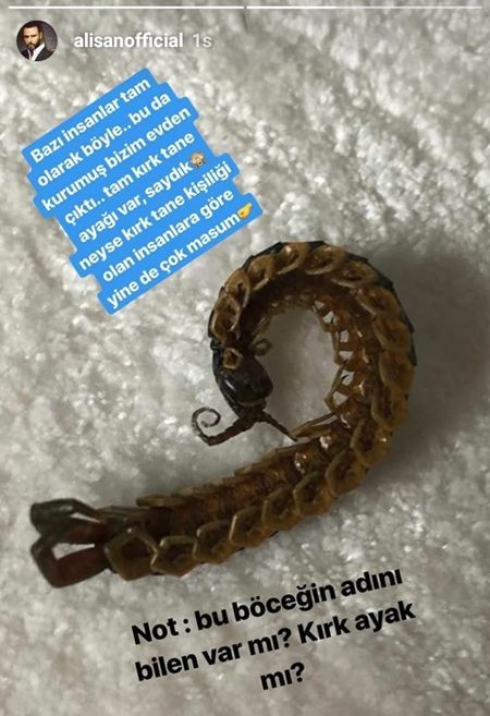 Alişan'ın instagram hikayesinden gönderme yaptığı kişi kim? 7