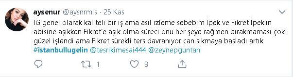 İstanbullu Gelin dizisinin izleyicilerini isyan ettiren ilişki! 23