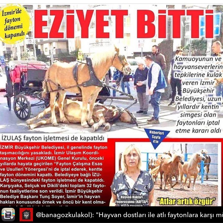 Aslı Tandoğan'dan fayton isyanı! 7