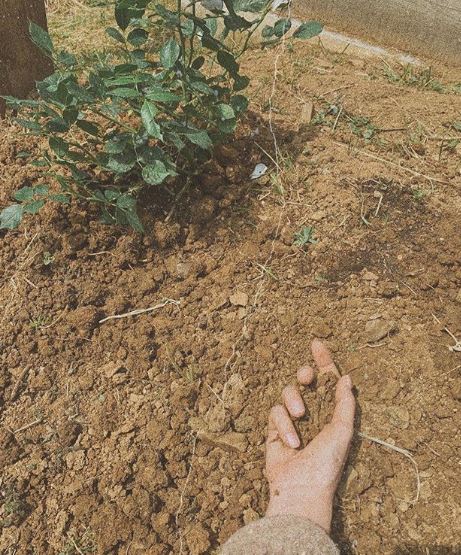 Kadın dizisinin Şirin'i Seray Kaya'nın buruk bayramı! Paylaşımları yürek burktu! 14