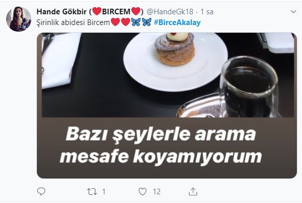 Birce Akalay'dan itiraf gibi sözler! "Arama mesafe koyamıyorum" 13