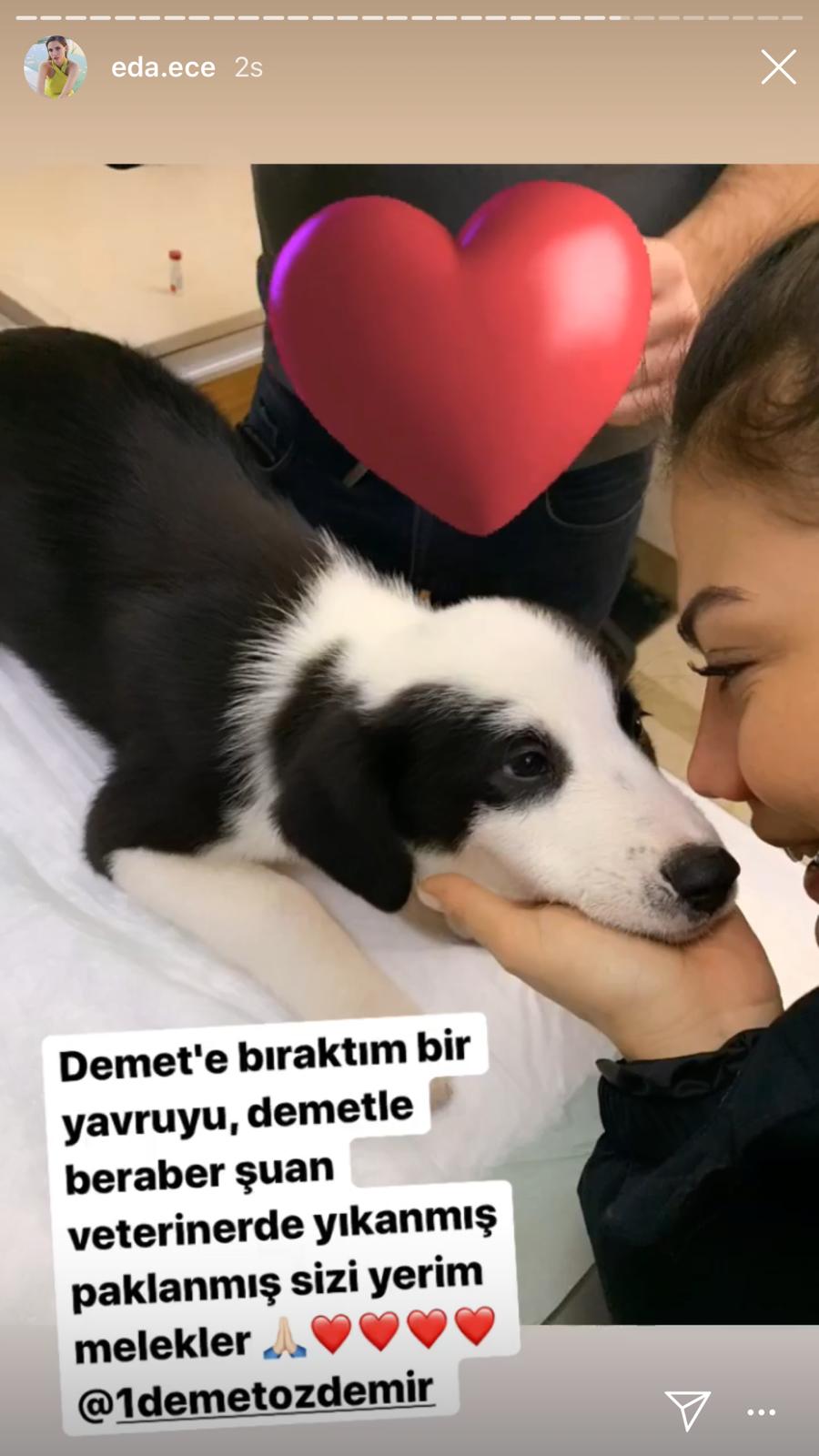 Eda Ece'nin yardımına ilk önce Demet Özdemir koştu! 9