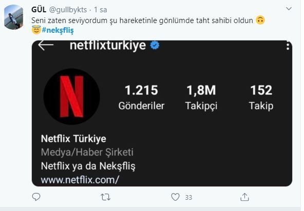 Netflix ismini Türkçe'ye uyarladı, sosyal medya çalkalandı! 13