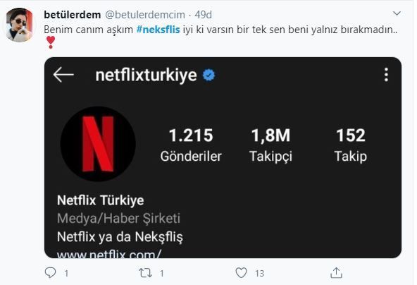 Netflix ismini Türkçe'ye uyarladı, sosyal medya çalkalandı! 11