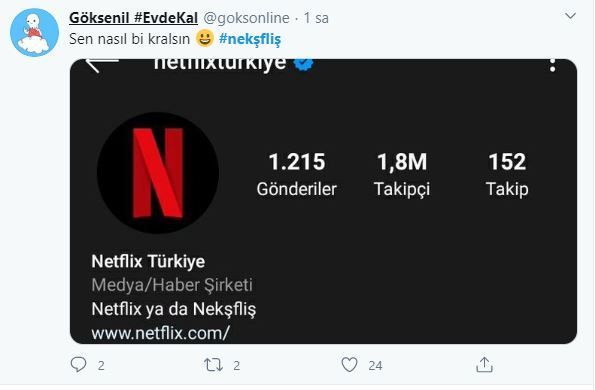 Netflix ismini Türkçe'ye uyarladı, sosyal medya çalkalandı! 10