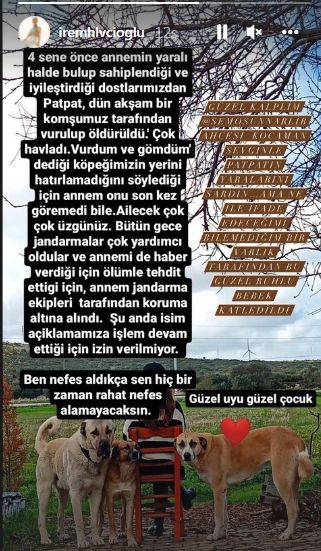 İrem Helvacıoğlu yaşadığı korkunç olayı sosyal medyada paylaştı!.. 7