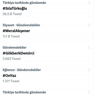 Sıla Türkoğlu, resmen twitter gündemini salladı! Binlerce kişi yorum yaptı! 12