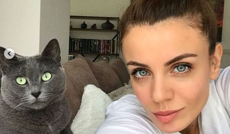 basakparlak kedisi 1