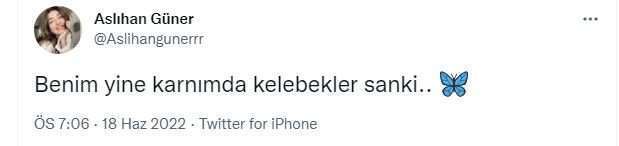 "Benim yine karnımda kelebekler sanki" demişti, Aslıhan Güner'in 3 sürpriz projesi ortaya çıktı! 9