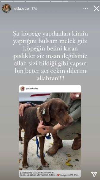 'Siz insan değilsiniz!" Eda Ece bu zulme sessiz kalmadı ve sosyal medyadan çok ağır konuştu! 18