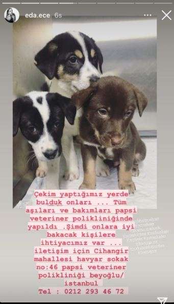 Öyle sosyal medyadan yorumla olmuyor bu işler! Eda Ece, soğuk havada sıcak evinden yardıma koştu! 10 Öyle sosyal medyadan yorumla olmuyor bu işler! Eda Ece, soğuk havada sıcak evinden yardıma koştu! 10
