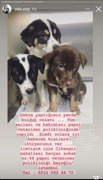 Öyle sosyal medyadan yorumla olmuyor bu işler! Eda Ece, soğuk havada sıcak evinden yardıma koştu! 11 Öyle sosyal medyadan yorumla olmuyor bu işler! Eda Ece, soğuk havada sıcak evinden yardıma koştu! 11
