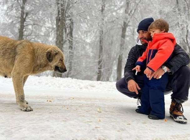 İbrahim Çelikkol hayvan severliğiyle yine hayranlarının gönlünü fethetti 7 İbrahim Çelikkol hayvan severliğiyle yine hayranlarının gönlünü fethetti 2