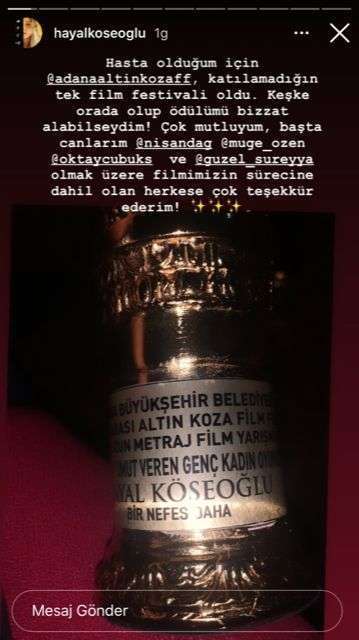 Hayal Köseoğlu Altın Koza’dan ödül aldı! Ünlü oyuncu ödülünü almaya gidemedi! 7