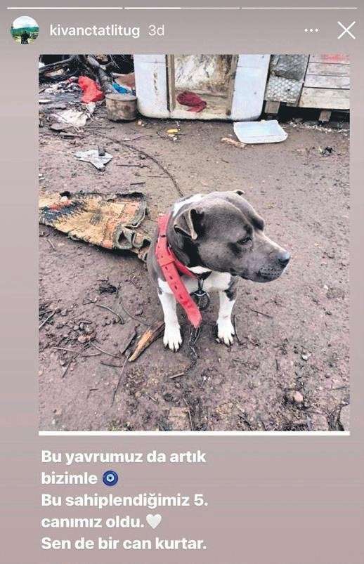 Yakışıklı oyuncu Kıvanç Tatlıtuğ'un hayranlarından bir isteği var!.. 7