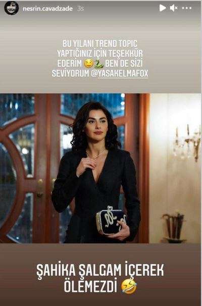 Yasak Elma'da Nesrin Cavadzade'nin oynadığı Şahika'ya özel durumu fark ettiniz mi? 11