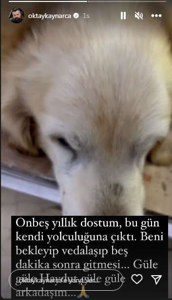 Oktay Kaynarca 15 yıllık dostunu kaybetti!.. 8 Oktay Kaynarca 15 yıllık dostunu kaybetti!.. 8