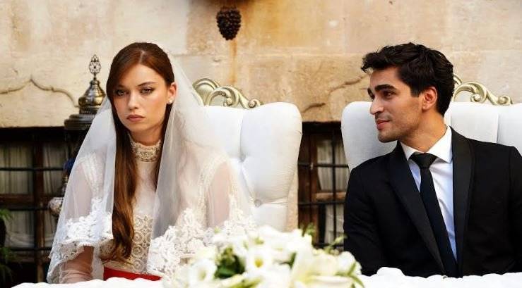 Afra Saraçoğlu'nu ve Yalı Çapkını dizisini zirveye çıkartan toplumsal gerçeklik! 7