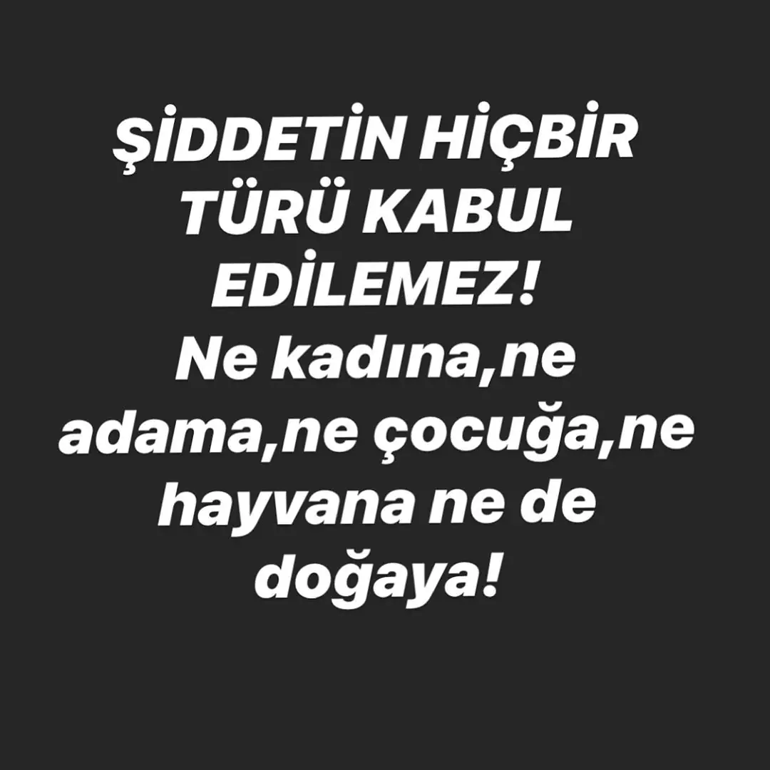 Pınar Altuğ isim vermeden kadına şiddete tepki gösterdi! 7