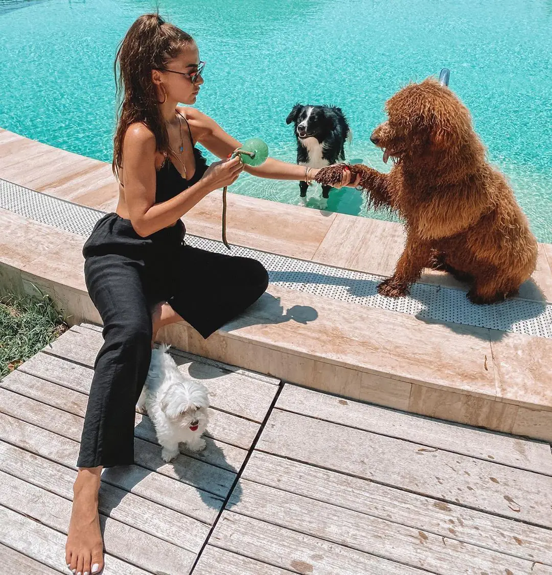 Bensu Soral, Beyza Şekerci, Merve Oflaz, Meriç Aral, Özge Özpirinçci'nın şaşırtan instagram halleri 11
