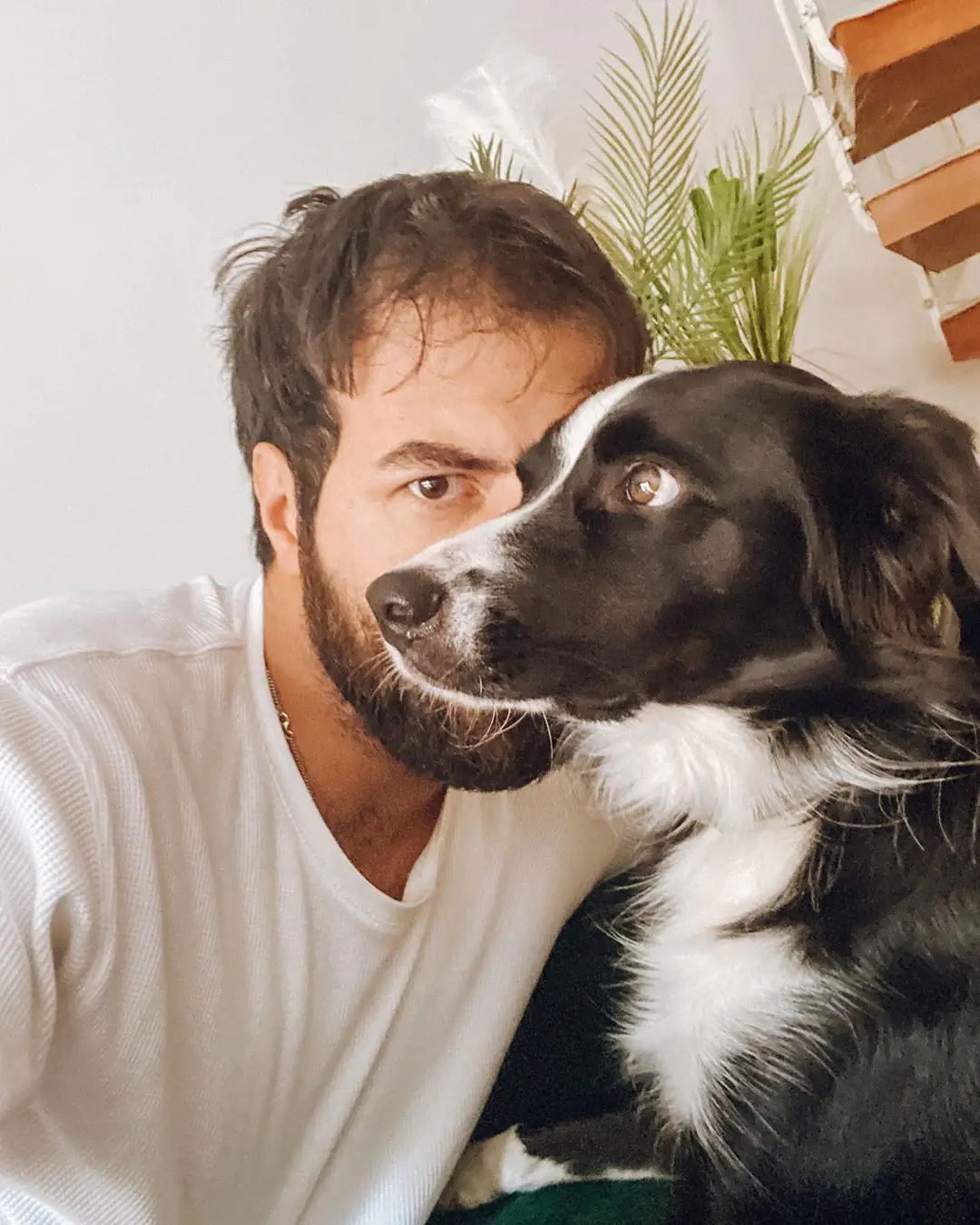 İsmail Demirci'nin büyük mutluluğu, Ceku'suna kavuştu... 7 İsmail Demirci'nin büyük mutluluğu, Ceku'suna kavuştu... 7
