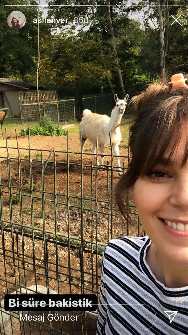 Sağ gösterip sol vurdu! Aslı Enver'in Lama ile imtihanı güldürdü 10