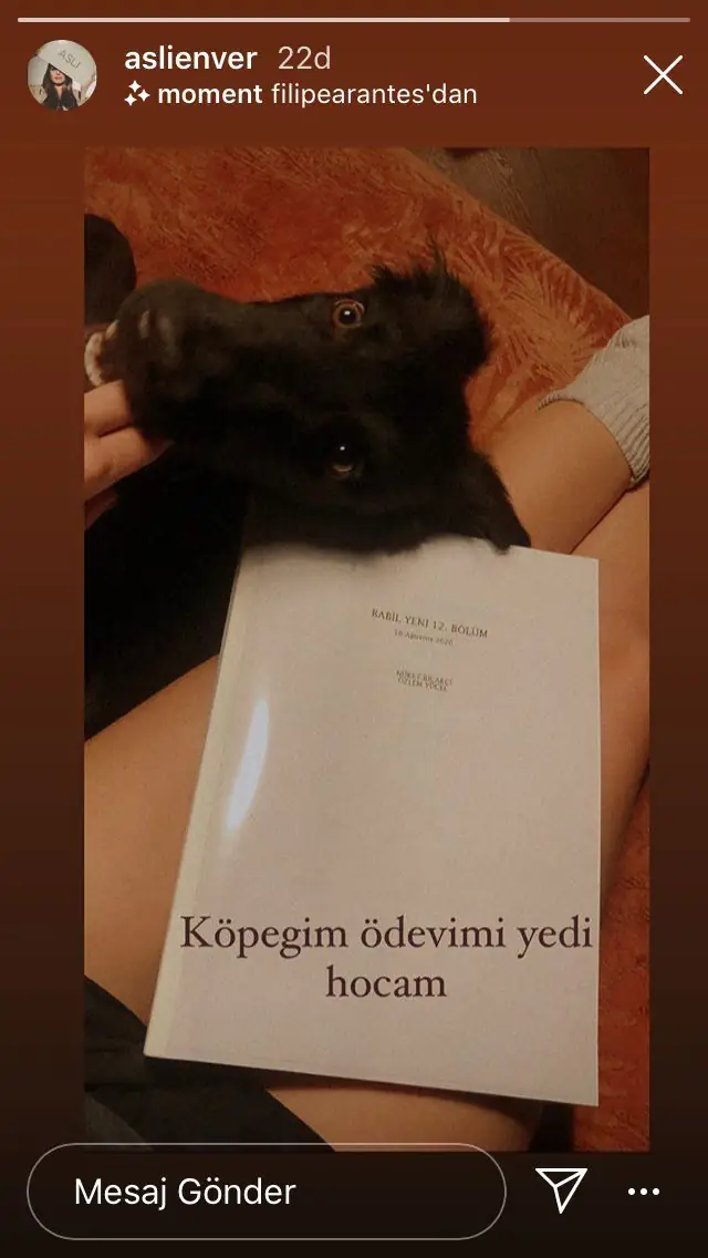 Babil dizisinde oynayan Aslı Enver'in şu sıralar minik bir sorunu var! 8 Babil dizisinde oynayan Aslı Enver'in şu sıralar minik bir sorunu var! 8