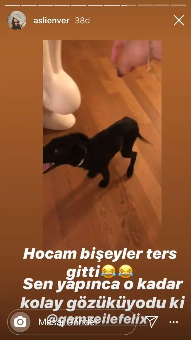 Aslı Enver'in paylaşımı, Babil dizisinin akıbeti hakkında ne anlatıyor? 11