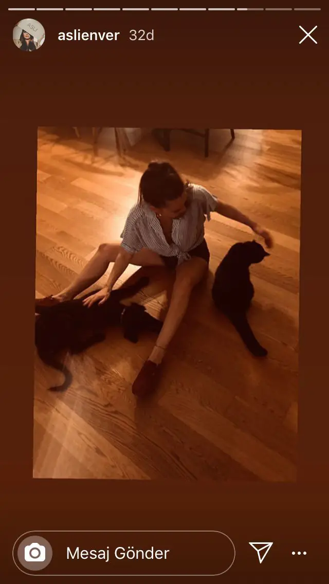 Muhtemelen bu fotoyu hiç görmediniz! Aslı Enver'in bebek haline bayılacaksınız 12