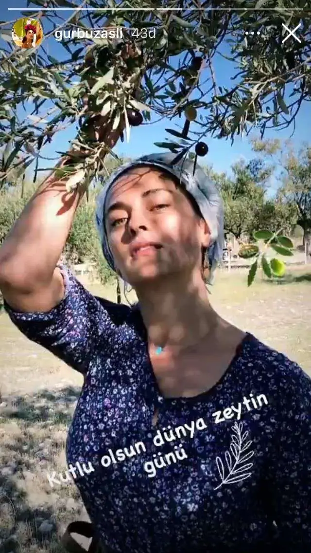 Aslıhan Gürbüz ve Beyza Şekerci zeytin hasadında 8