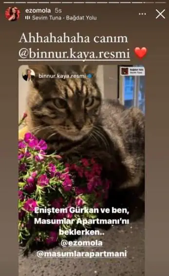 Kırmızı Oda'nın Doktor Hanım'ı Binnur Kaya, bakın hangi dizinin hayranı çıktı? 7