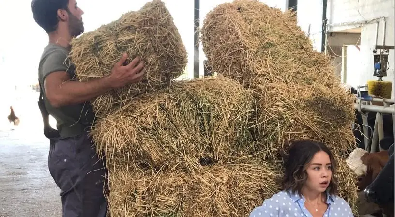 Kalk Gidelim dizisine gelen esrarengiz karakter! 7 Kalk Gidelim dizisine gelen esrarengiz karakter! 7