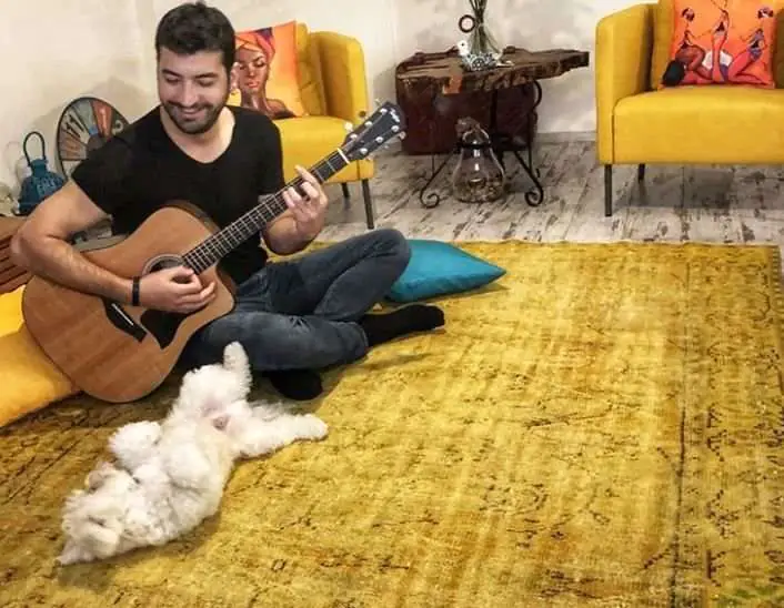 Beni Affet dizisinde parlayan Mert Altınışık için Yasak Elma büyük bir şans oldu! 7