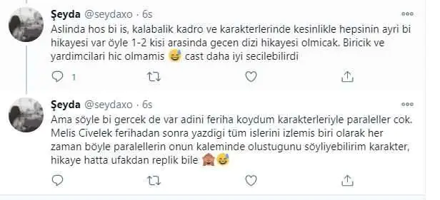 Sol Yanım dizisi sanki Adını Feriha Koydum'un benzeri gibiydi! 7